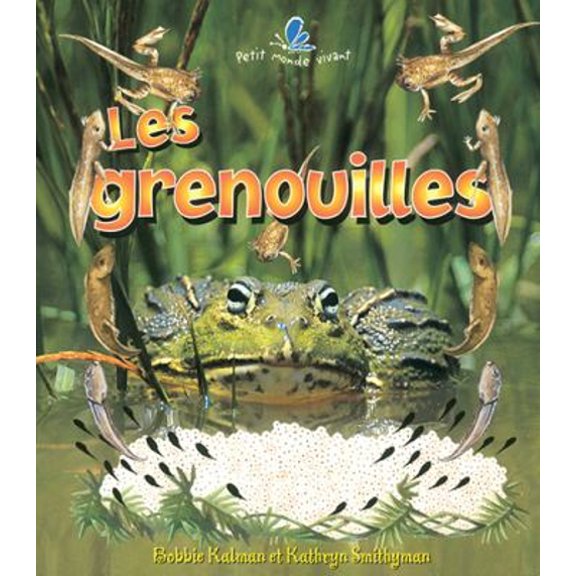 Pre-Owned Grenouilles (Paperback) 9782895790808