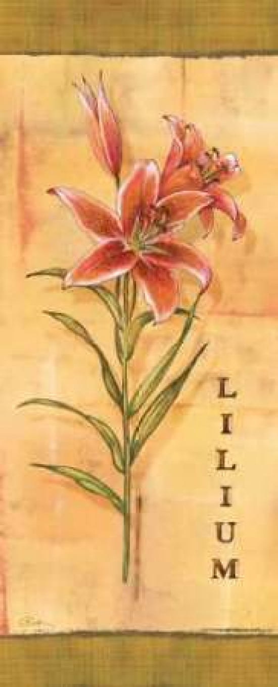 Les Lys III Canvas Art - Charlene Audrey (24 x 48)