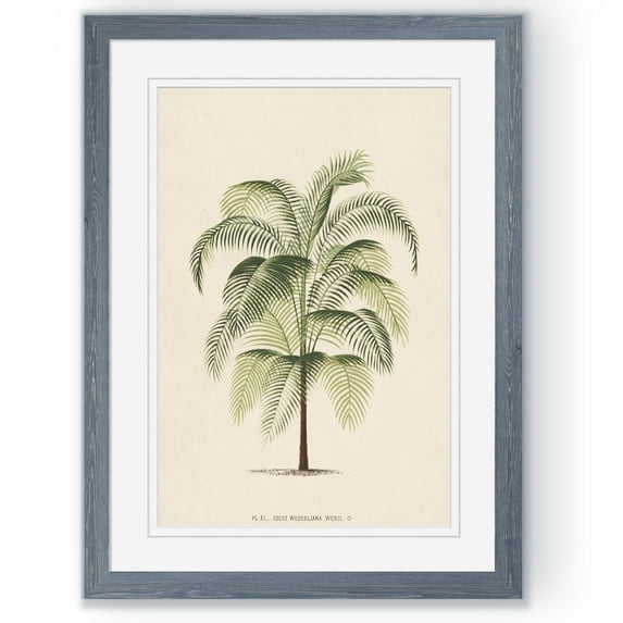 Les Palmiers III - Barnwood Framed - 18 x 24 - Grey