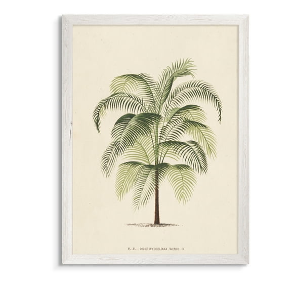 Wexford Home Les Palmiers III-Framed - White - 22X30