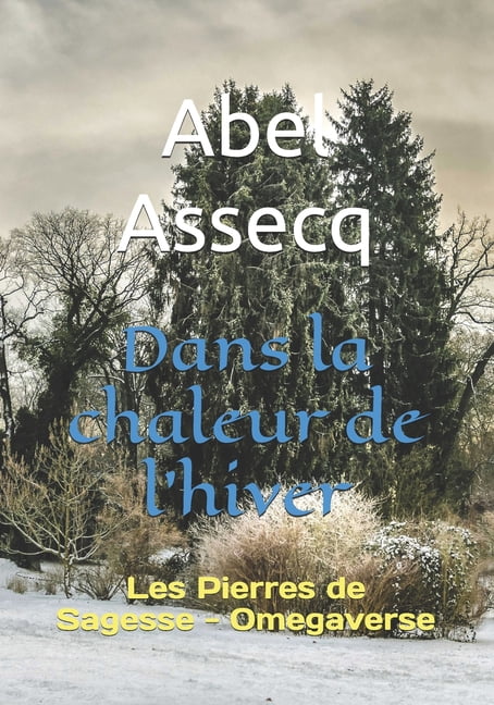 Les Pierres de Sagesse Dans la chaleur de l'hiver: 1 - Les Pierres de Sagesse - Omegaverse, Book 1, (Paperback)