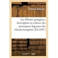 thumbnail image 1 of Les Plantes Potagères, Description Et Culture Des Principaux Légumes Des Climats Tempérés (Paperback), 1 of 1