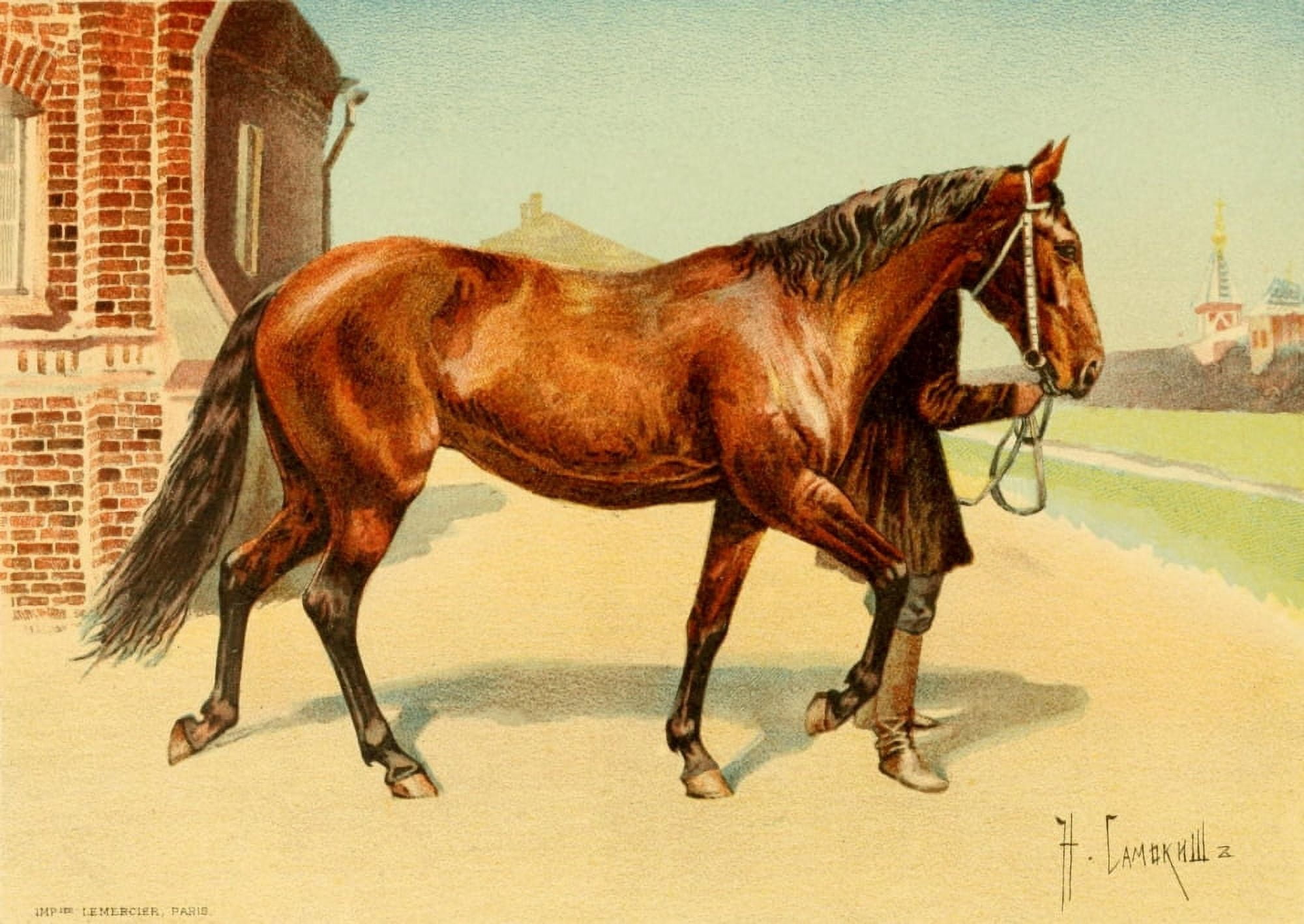 Les Races Chevalines 1894 Aldia Canvas Art - Nikolai S Samokish (24 x 36)