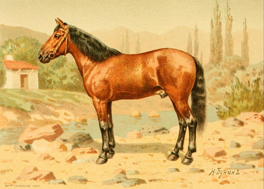 Les Races Chevalines 1894 Krime Canvas Art - M Bounine (24 x 36)