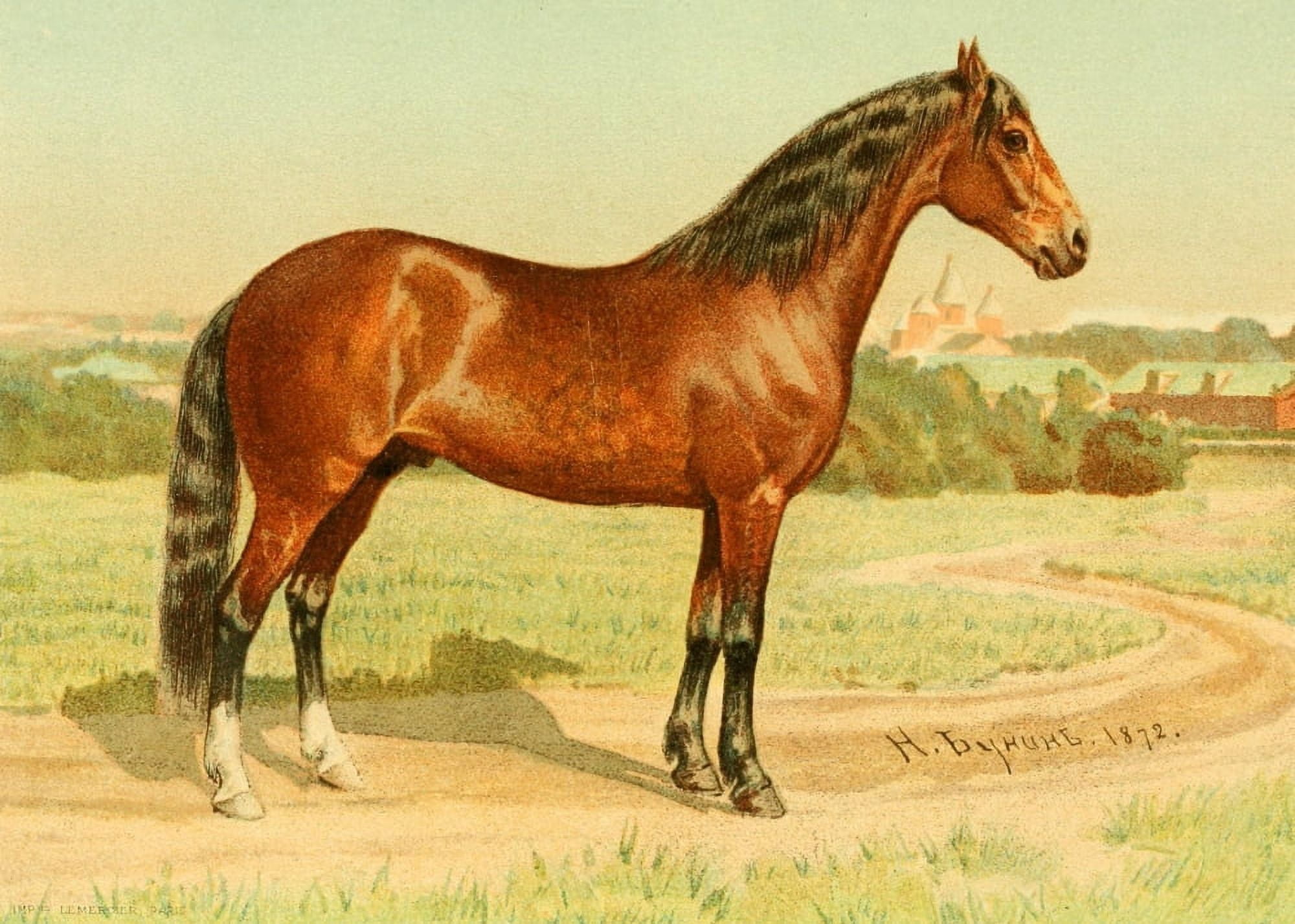 Les Races Chevalines 1894 Podaga Canvas Art - M Bounine (18 x 24)