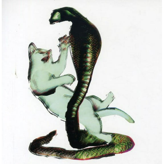 Les Savy Fav - Cat and The Cobra - Alternative - CD