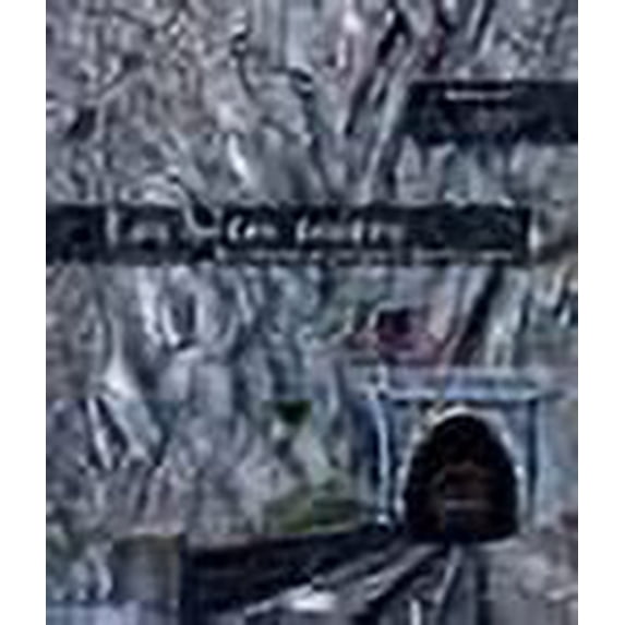 Les bêtes noires (French Edition)