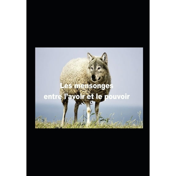 Les mensonges entre l'avoir et le pouvoir (Paperback)