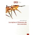 thumbnail image 1 of Les épines à l'itinéraire de nos avancées (Paperback), 1 of 1