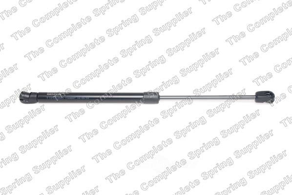 Lesjofors 8062001 Hood Lift Support