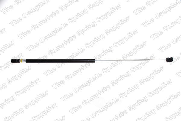Lesjofors 8095004 Hood Lift Support