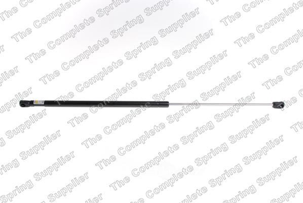 Lesjofors 8095017 Hood Lift Support