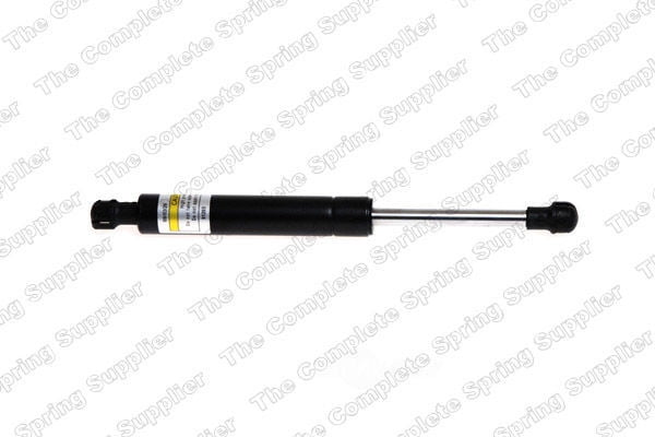Lesjofors 8095806 Hood Lift Support