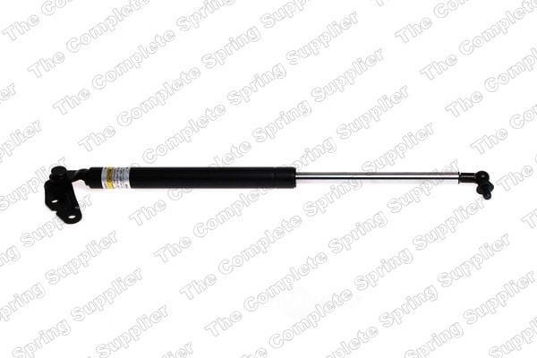 Lesjofors 8192565 Trunk Lid Lift Support