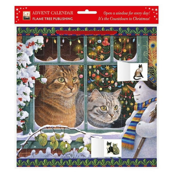 Lesley Anne Ivory  Snowy Christmas: Megatab, Mintaka and the Snowman Advent Calendar 2021 (with stickers) (Calendar)