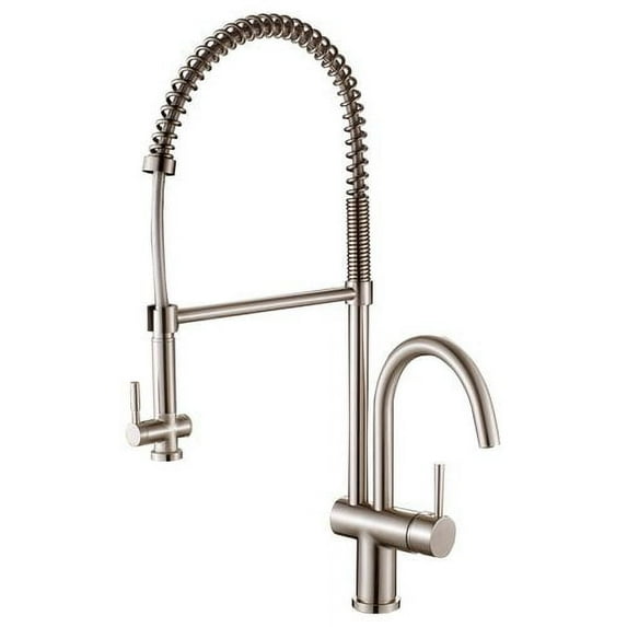 LessCare Spring-Type Pull Out Single Handle Kitchen Faucet