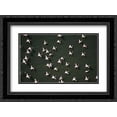 thumbnail image 1 of Lesser Flamingo flock taking flight from the surface of a lake, Kenya 2x Matted 24x18 Black Ornate Framed Art Print by Fitzharris, Tim, 1 of 2