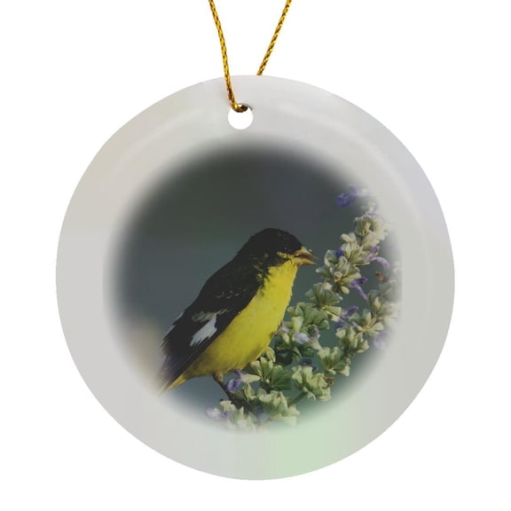 3drose, Lesser Goldfinch Bird, Hill Country, Texas - Na02 Rnu0178 - Rolf Nussbaumer, Circle Porcelain Ornament