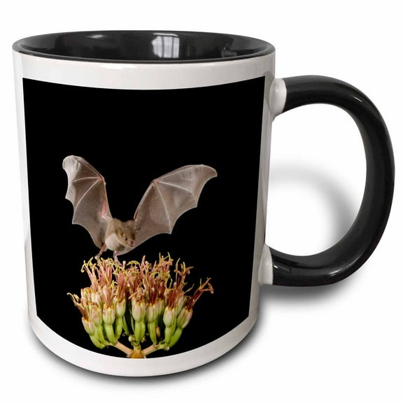 3drose, Lesser Long-nosed Bat Flying, Tuscon, Arizona - Na02 Rnu0186 - Rolf Nussbaumer, 11oz Two-tone Black Mug