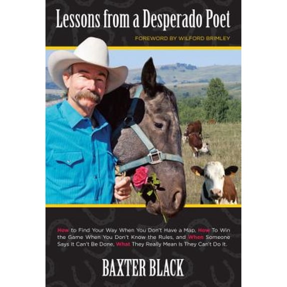 Pre-Owned Lessons from a Desperado Poet: How to Find Your Way When You Don't Have a Map, How to Win the Game When You Don't Know the Rules, and When Someone Say (Paperback) 0762782986 9780762782987
