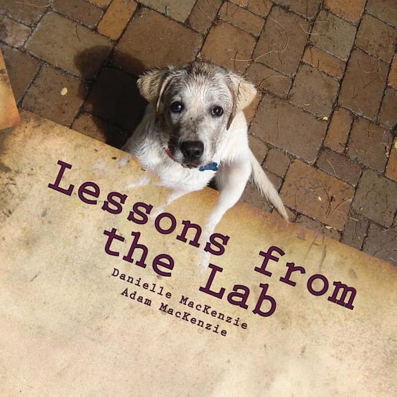 Lessons from the Lab : 26 Life Lessons You Can Learn from a Dog...a to Z