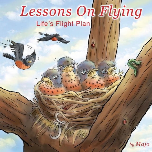 Lessons on Flying : life's flight plan (Paperback)