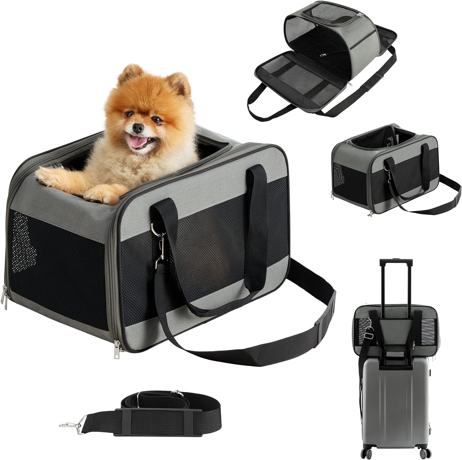 Lesure Cat Dog Carrier Airline Approved - Dog Carrier For Small Dogs ...