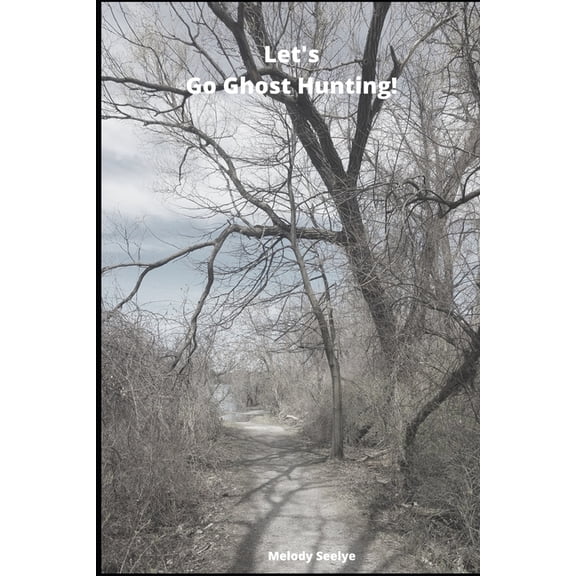 Let's Go Ghost Hunting!, (Paperback)