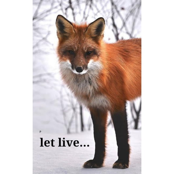 Let live. Paperback 1726791017 9781726791014 M OReilly