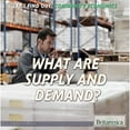 thumbnail image 1 of Pre-Owned Let's Find Out! Community Economics: What Are Supply and Demand? (Hardcover), 1 of 1