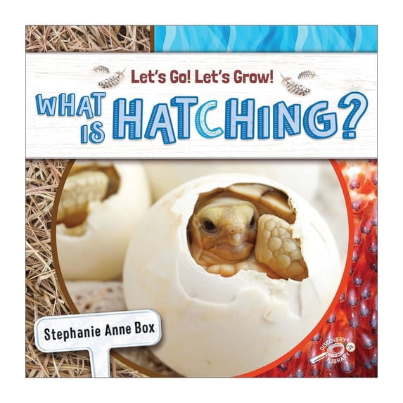 Let’s Go! Let’s Grow!: What Is Hatching? (Hardcover)