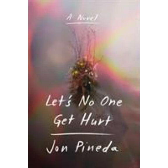 Pre-Owned Let's No One Get Hurt (Hardcover) 0374185247 9780374185244