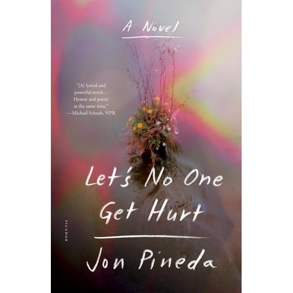 Let's No One Get Hurt : A Novel (Paperback)