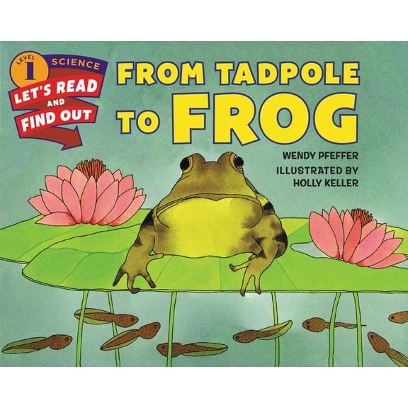 Let's-Read-And-Find-Out Science 1 From Tadpole to Frog, (Paperback)
