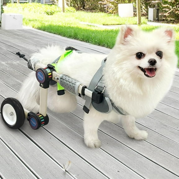LetPetRun Adjustable Dog Wheelchair for Hind Leg Support, Lightweight Mobility Cart for Disabled Pets, XSLW