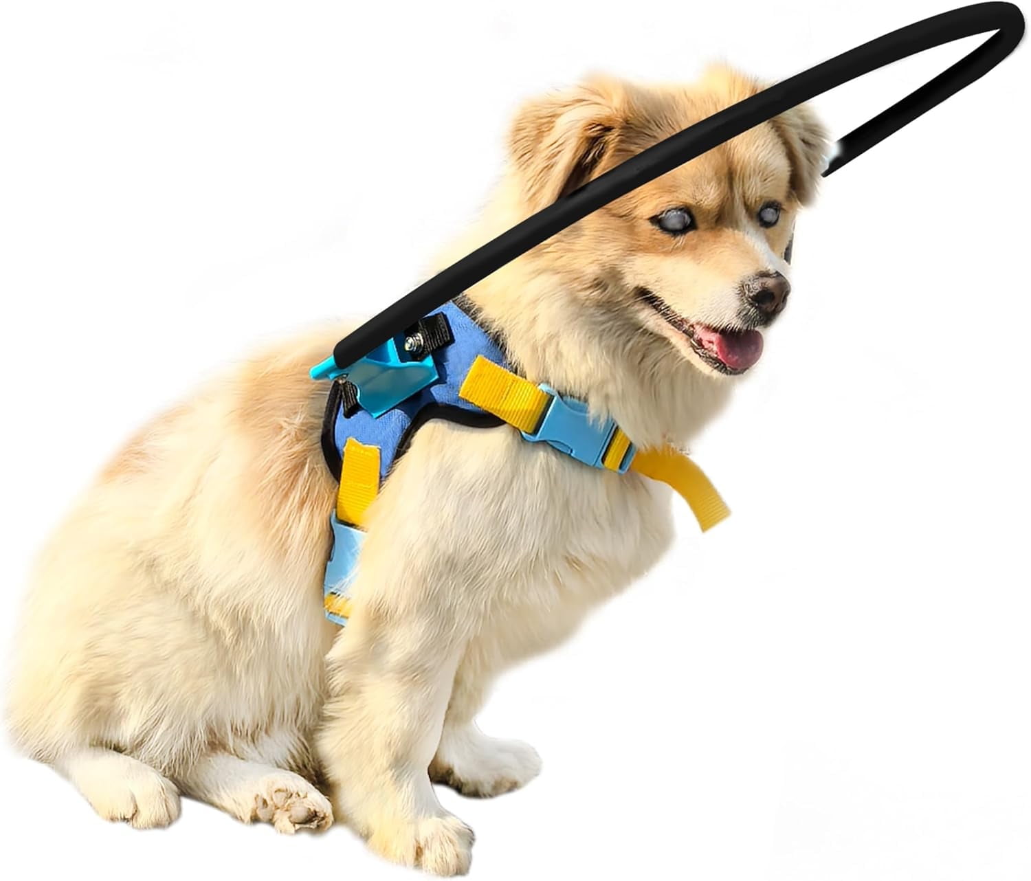 LetPetRun Blind Dog Halo Harness, Protective Confidence Building Harness for Visually Impaired Dogs, Lightweight & Safe,XXS