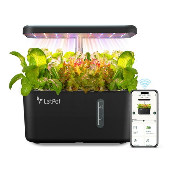LetPot MINI 5-Pod Hydroponics System-Smart Indoor Garden Grow Kit for Hydroponics Starter Beginners, Black 2.2lb (No Seeds)