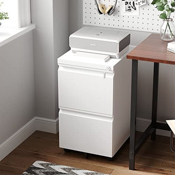 Letaya 2 Drawer Mobile File Cabinet with Lock,Under Desk Metal Filing Cabinets for Home Office Organizer Letters/Legal/A4(Fully Assembled-White)