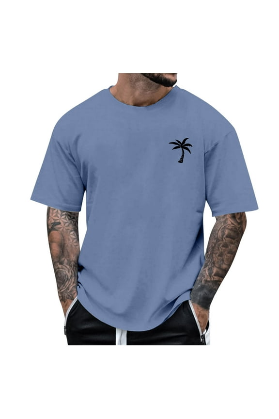 Men's Classic Loose Fit T-Shirt, Lightweight Short-Sleeve Crewneck Tee with Drop Shoulder for Everyday Comfort (Multiple Colors) (Blue,L)