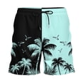 thumbnail image 1 of Letdown Mens Swim Trunks: 2-in-1 with Compression Liner Lined Soft Stretch Quick_Dry Solid Pockets Funny Drawstring (Sky Blue,XXL), 1 of 2