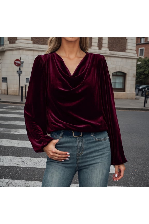 Women's Velvet T Shirts Casual Long Sleeve Solid Shirt Cowl Neck Drape Ruched Front Long Sleeve Blouses Tops (,S)