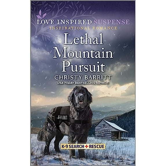 Pre-Owned Lethal Mountain Pursuit (Paperback) by Christy Barritt