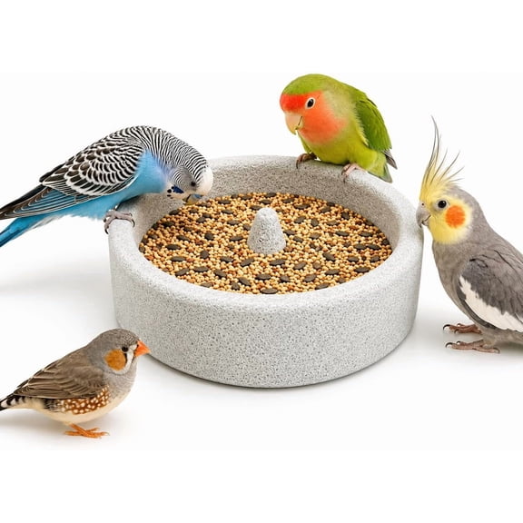 Lethargic Pumice Stone Bird Feeder Bowl, 5.91 in x 1.57 in Natural Stone Feeding Dish, Stable One-Piece Design for Pet Birds