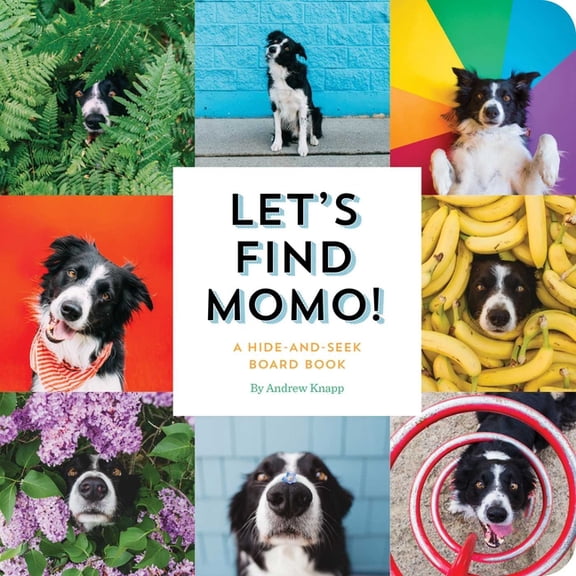 Lets Find Momo (Board Book)