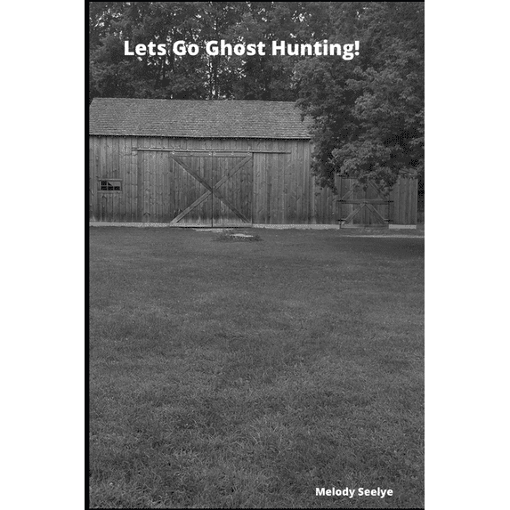 Lets Go Ghost Hunting!, (Paperback)