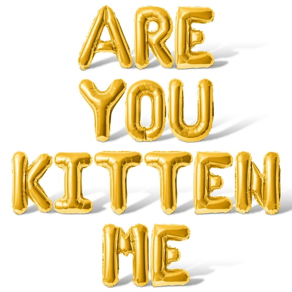 Letter Balloons - ARE YOU KITTEN ME 16" Inch Alphabet Letters Foil Mylar Balloon Birthday Party Banner (Gold)