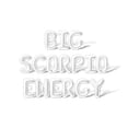 thumbnail image 1 of Letter Balloons - BIG SCORPIO ENERGY 16" Inch Alphabet Letters Foil Mylar Balloon Birthday Party Banner (White), 1 of 5