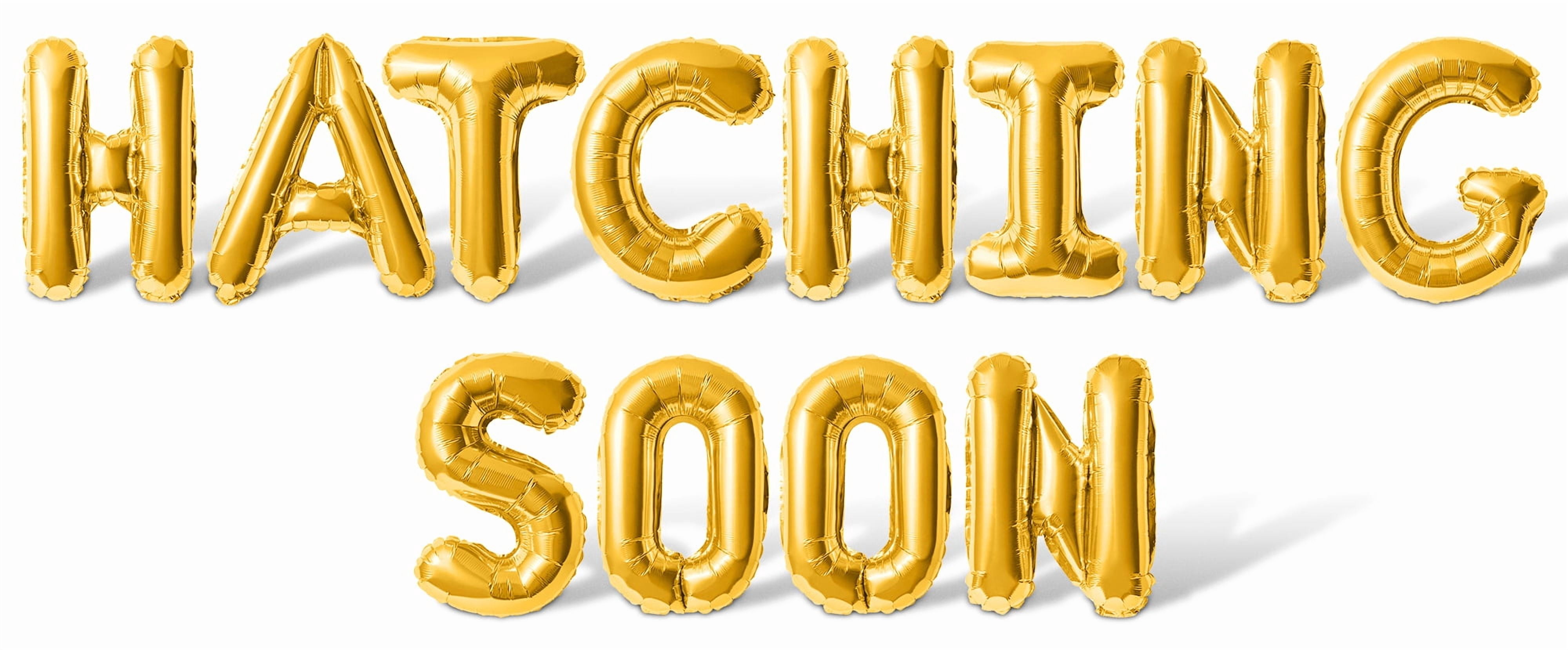 Frying Soon Lettering Letter Balloons - HATCHING SOON 16