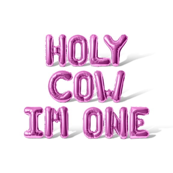 Letter Balloons - HOLY COW IM ONE 16" Inch Alphabet Letters Foil Mylar Balloon Birthday Party Banner (Pink)