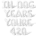 thumbnail image 1 of Letter Balloons - IN DOG YEARS YOURE 420 16" Inch Alphabet Letters Foil Mylar Balloon 60th Birthday Party Banner (White), 1 of 5